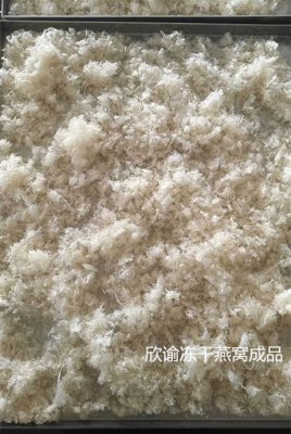 燕窩（wō）凍幹機